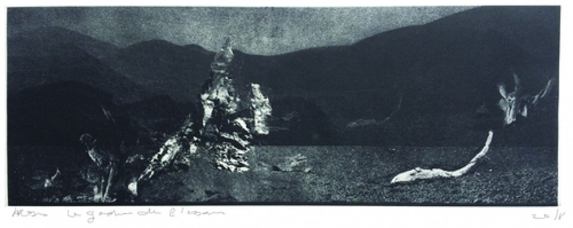 9-aroses-catalogule gardien de l essaim